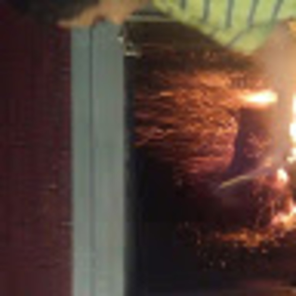 Meet your Posher, Shamila